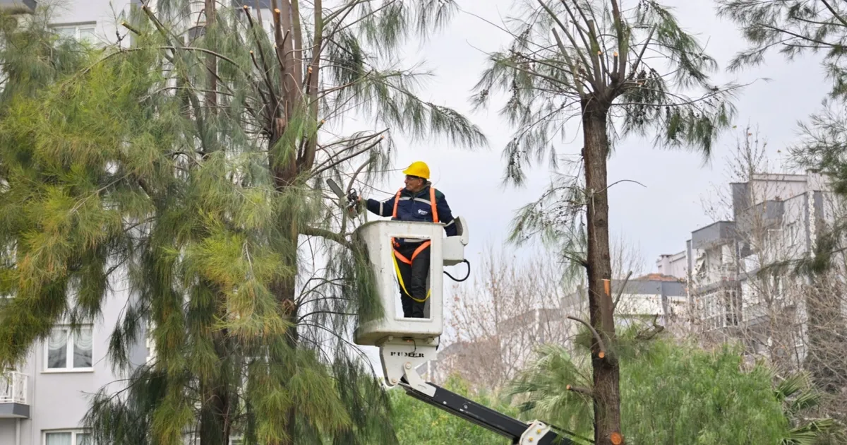 İzmir Bornova’da kışa hazırlık başladı